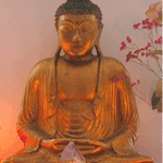 buddha-trans
